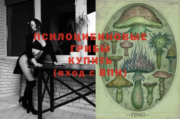 спайс Белокуриха